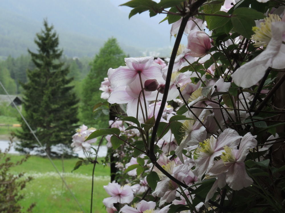 B&B Pranzaira Vicosoprano Dış mekan fotoğraf